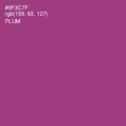 #9F3C7F - Plum Color Image