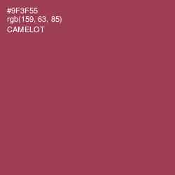 #9F3F55 - Camelot Color Image