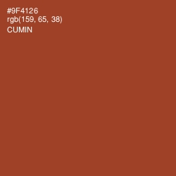 #9F4126 - Cumin Color Image