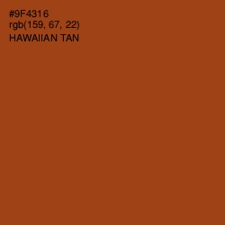 #9F4316 - Hawaiian Tan Color Image