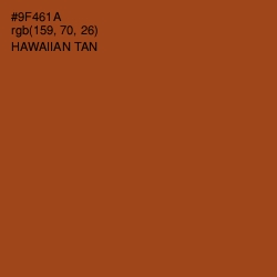 #9F461A - Hawaiian Tan Color Image