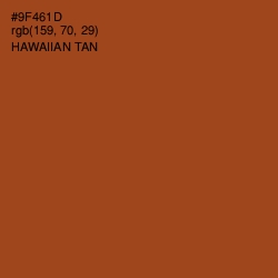 #9F461D - Hawaiian Tan Color Image