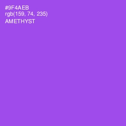 #9F4AEB - Amethyst Color Image