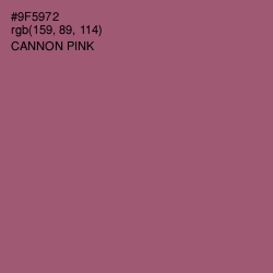 #9F5972 - Cannon Pink Color Image