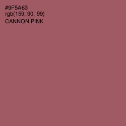 #9F5A63 - Cannon Pink Color Image