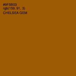 #9F5B03 - Chelsea Gem Color Image