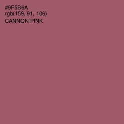 #9F5B6A - Cannon Pink Color Image