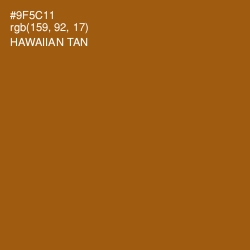#9F5C11 - Hawaiian Tan Color Image