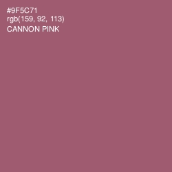 #9F5C71 - Cannon Pink Color Image