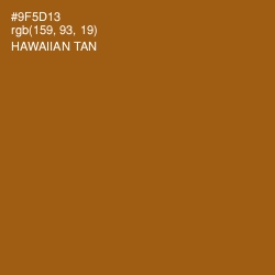 #9F5D13 - Hawaiian Tan Color Image