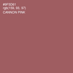 #9F5D61 - Cannon Pink Color Image