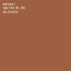 #9F6041 - Au Chico Color Image