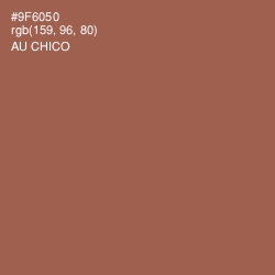 #9F6050 - Au Chico Color Image