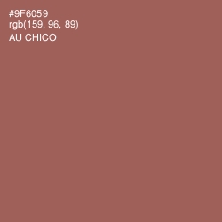 #9F6059 - Au Chico Color Image