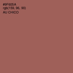 #9F605A - Au Chico Color Image