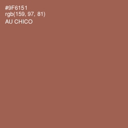 #9F6151 - Au Chico Color Image