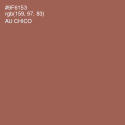 #9F6153 - Au Chico Color Image