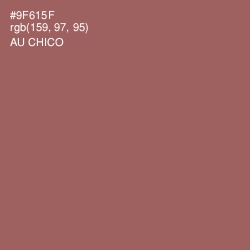 #9F615F - Au Chico Color Image