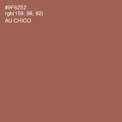 #9F6252 - Au Chico Color Image