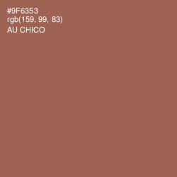 #9F6353 - Au Chico Color Image