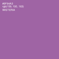 #9F64A3 - Wisteria Color Image
