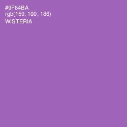 #9F64BA - Wisteria Color Image
