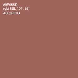 #9F655D - Au Chico Color Image