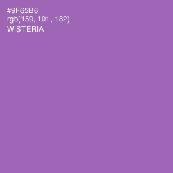 #9F65B6 - Wisteria Color Image