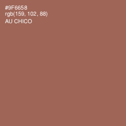 #9F6658 - Au Chico Color Image