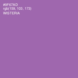 #9F67AD - Wisteria Color Image