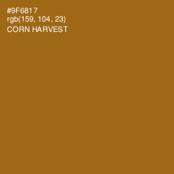 #9F6817 - Corn Harvest Color Image