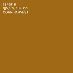 #9F6916 - Corn Harvest Color Image