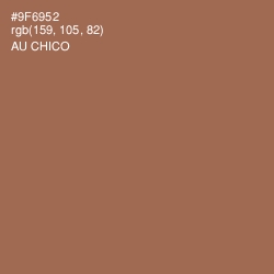 #9F6952 - Au Chico Color Image