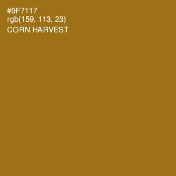 #9F7117 - Corn Harvest Color Image