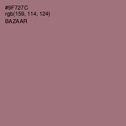 #9F727C - Bazaar Color Image