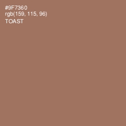 #9F7360 - Toast Color Image