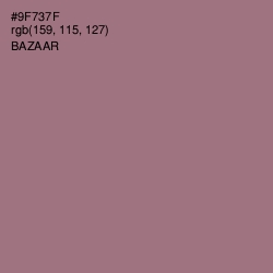 #9F737F - Bazaar Color Image