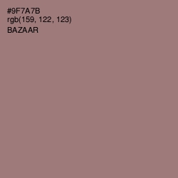#9F7A7B - Bazaar Color Image