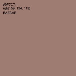 #9F7C71 - Bazaar Color Image