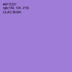 #9F7CD7 - Lilac Bush Color Image