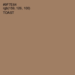 #9F7E64 - Toast Color Image