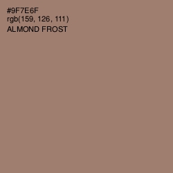 #9F7E6F - Almond Frost Color Image