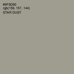 #9F9D90 - Star Dust Color Image