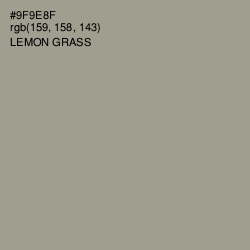 #9F9E8F - Lemon Grass Color Image