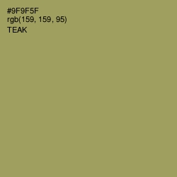 #9F9F5F - Teak Color Image