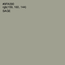 #9FA090 - Sage Color Image