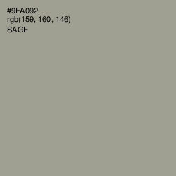 #9FA092 - Sage Color Image