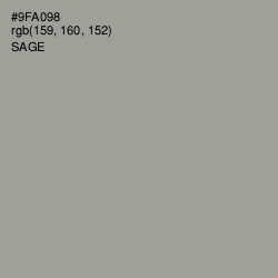 #9FA098 - Sage Color Image
