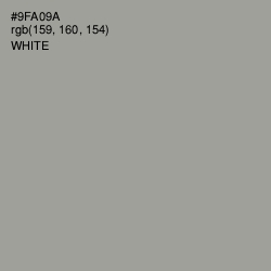 #9FA09A - Sage Color Image