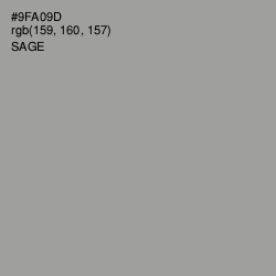 #9FA09D - Sage Color Image